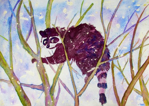 Raccoon Watercolor 2016.JPG